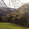 DSC00034.jpg