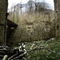 DSCN1296.jpg