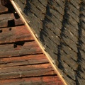 IMG_4052.jpg