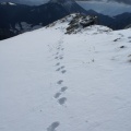 DSC05087.JPG