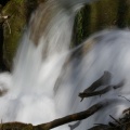 DSC05309.JPG