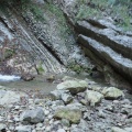 PA115675.JPG