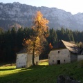 DSC08501.JPG