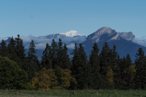 PA053582.JPG