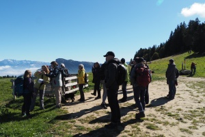 PA053583.JPG