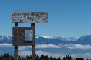 PA053586.JPG