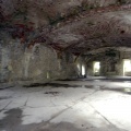 DSC_1017.jpg