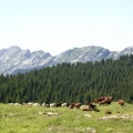 DSC06279.jpg