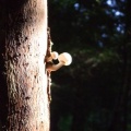 DSCF2041.jpg
