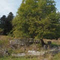PA064541.JPG