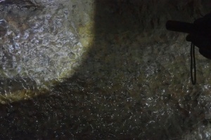 PB182580.JPG