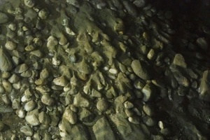 PB182582.JPG