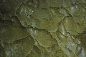PB182611.JPG
