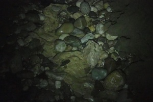 PB182612.JPG