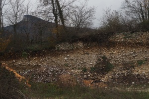 PB182651.JPG