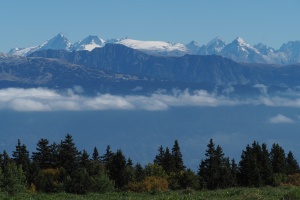 PA053602.JPG