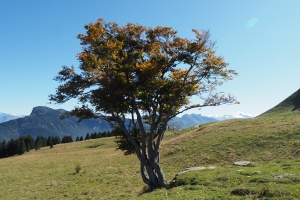 PA053642.JPG