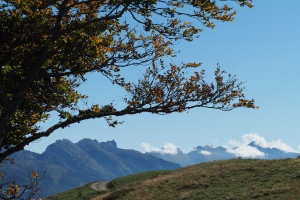 PA053645.JPG