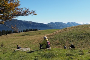 PA053658.JPG
