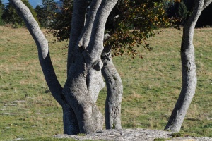 PA053702.JPG