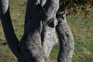 PA053706.JPG