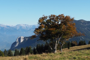 PA053713.JPG