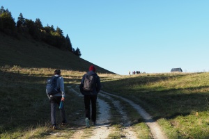 PA053720.JPG