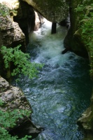 DSC02844.JPG